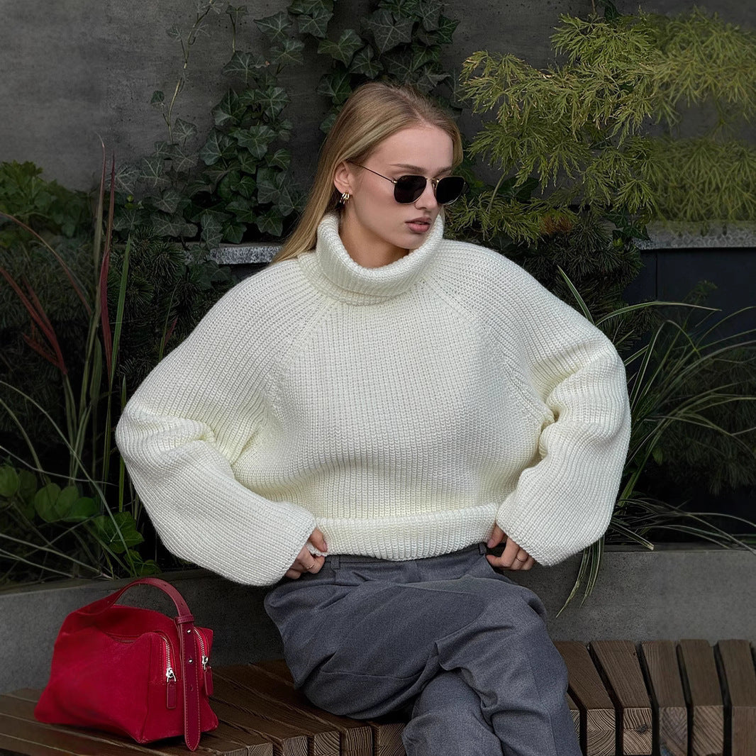 ELC Allegra High Collar Pullover Sweater