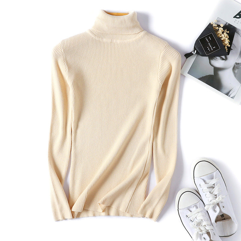 Karilou Turtle Neck Top Tees
