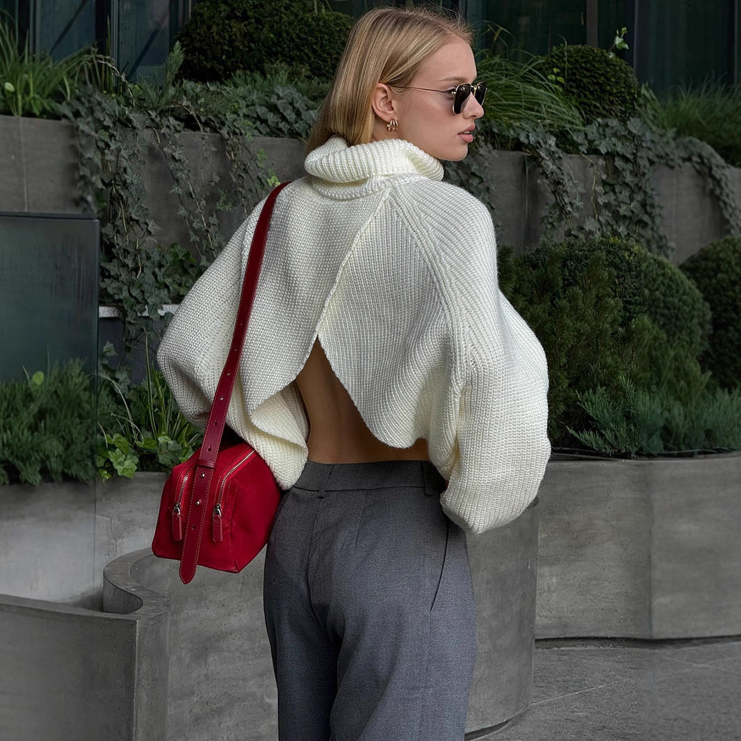 ELC Allegra High Collar Pullover Sweater