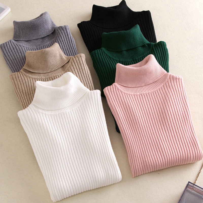 Karilou Turtle Neck Top Tees